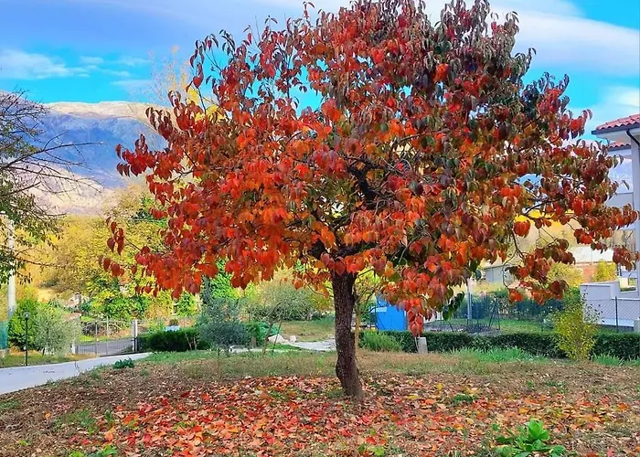 Margherita Bed and Breakfast Pratola Peligna