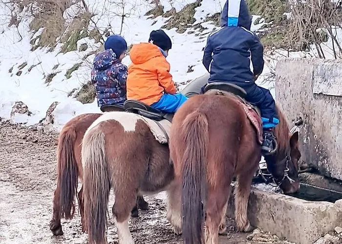 Margherita Bed and Breakfast 3*