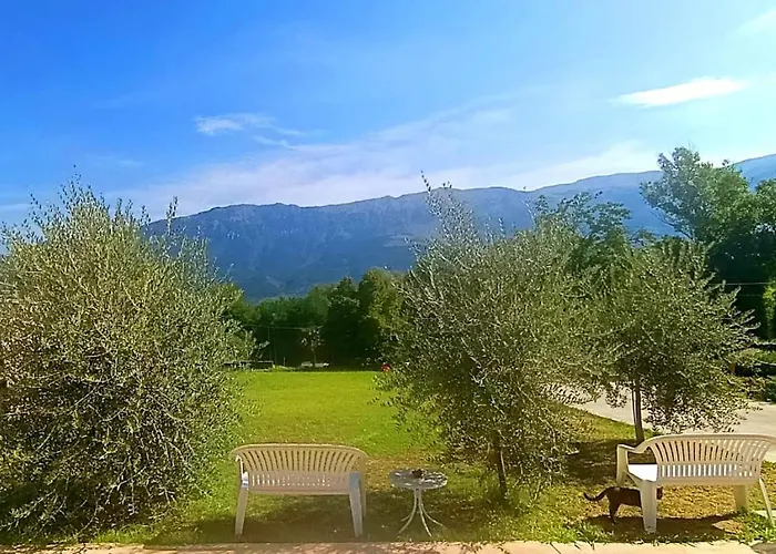 Margherita Отель типа 